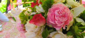 Dummy